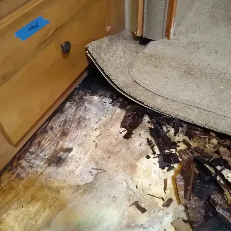 Wood Floor Water Damage in Winnetka, IL